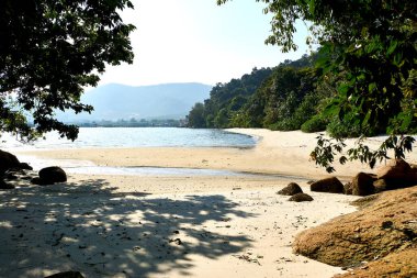 Penang, Malezya 'daki Ulusal Park' ta plaj