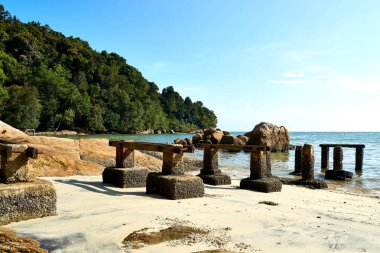 Penang, Malezya 'daki Ulusal Park' ta plaj