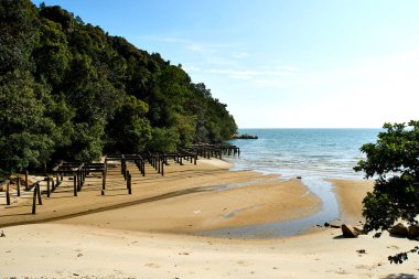 Penang, Malezya 'daki Ulusal Park' ta plaj