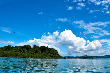 Langkawi, Malezya - 15 Ekim 2019: Langkawi 'de adaya atlayan kartal,.