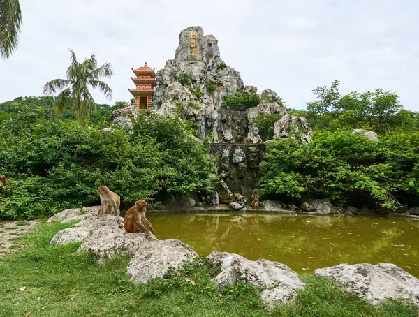 Macaco macaco sentado ao lado do lago na ilha macaco, Vietnã, Nha Trang — Fotografia de Stock