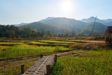 Pai, Tayland - Şubat 05.2020: Pai Bamboo Köprüsü Boon Ko So 'nun Tayland' daki güzel manzarası.