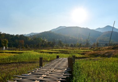 Pai, Tayland - Şubat 05.2020: Pai Bamboo Köprüsü Boon Ko So 'nun Tayland' daki güzel manzarası.