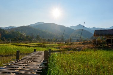 Pai, Tayland - Şubat 05.2020: Pai Bamboo Köprüsü Boon Ko So 'nun Tayland' daki güzel manzarası.