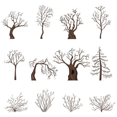 Set of Cartoon Bare Trees and Shrubs clipart