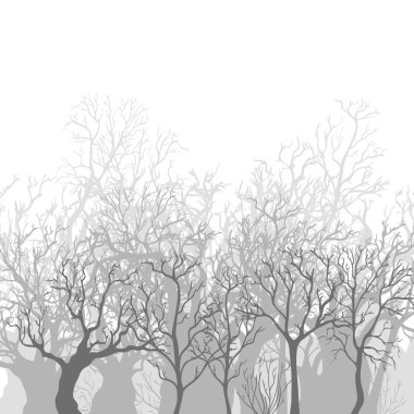 Çıplak ölü ağaçlar