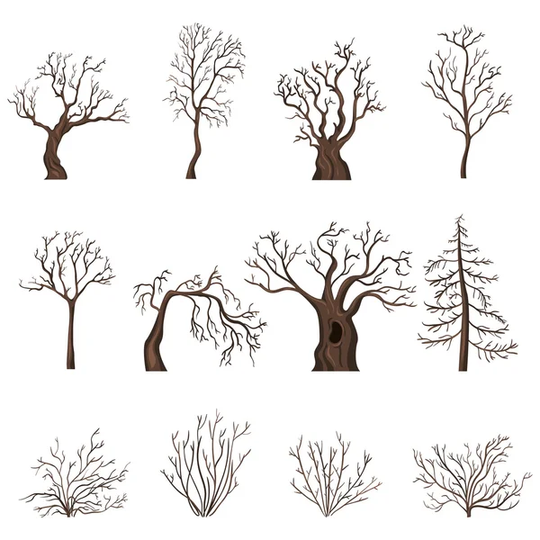 Conjunto de desenhos animados árvores nuas e arbustos — Vetor de Stock