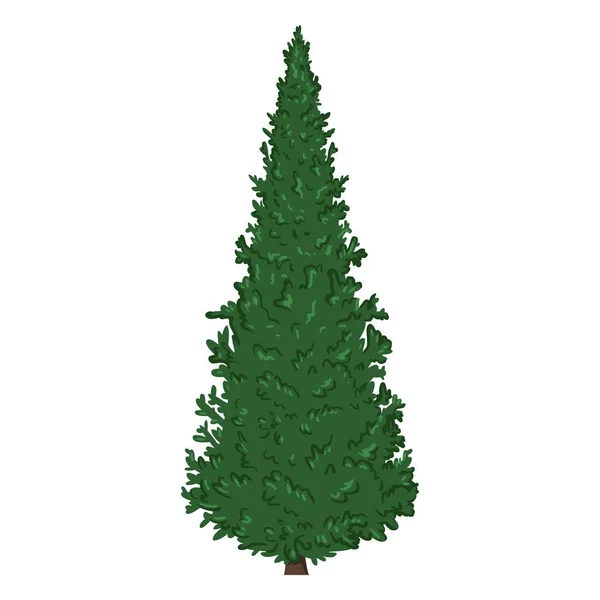 Cartoon Pine Tree sur Blanc — Image vectorielle