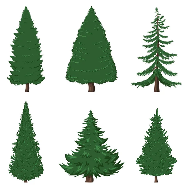 Set of Cartoon Pine Trees — Stock Illustration Set of Cartoon Pine Trees Royalty Free Stock Illustrations