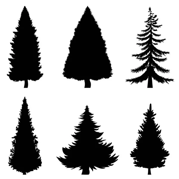 Black Silhouettes of Pine Trees — Stock Vector