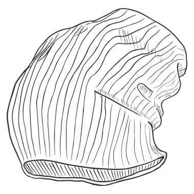 örme kış şapkası