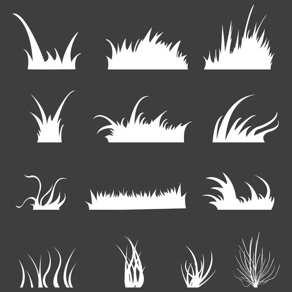 Set of White Grass — Stock Vector