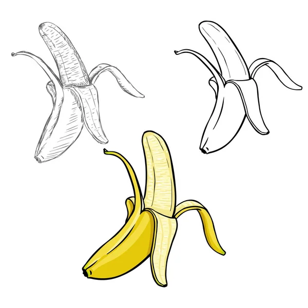 Set of  Peeled Bananas — Stock Vector