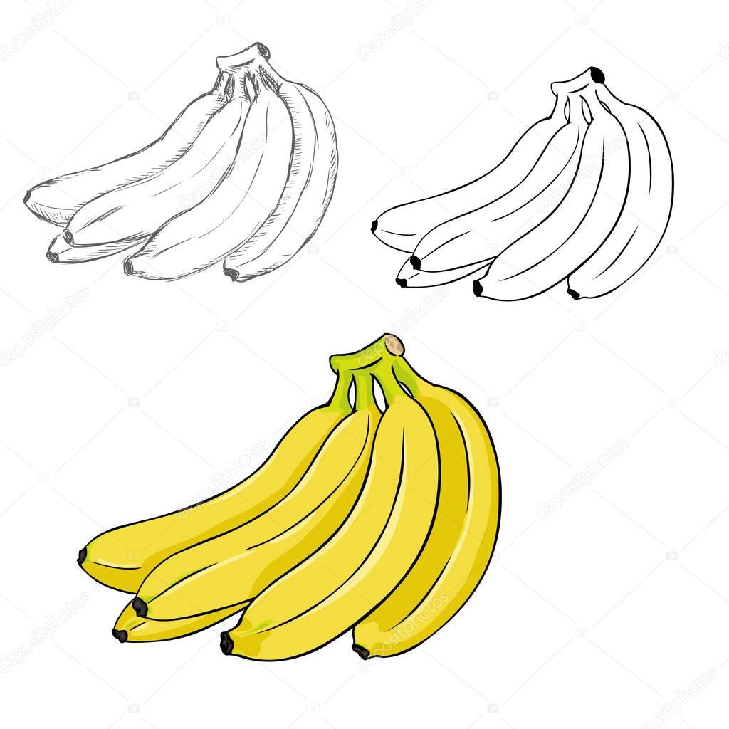 Set of Bunches of Bananas