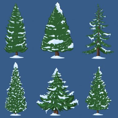 Kış karikatür çam ağaçlarının dalları üzerinde kar ile vektör Set