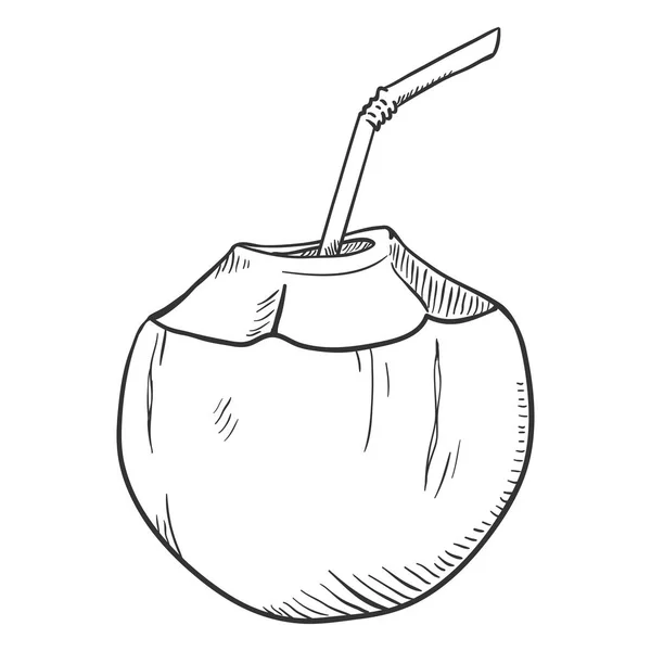 矢量卡通插图绿色椰子鸡尾酒与饮用稻草 — 图库矢量图片
