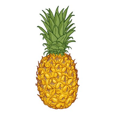 Vektör karikatür tüm ananas