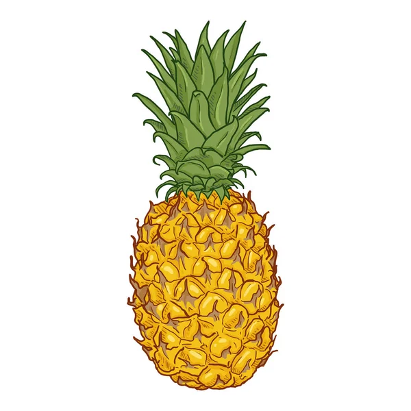 Vektör karikatür tüm ananas
