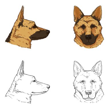 Alman Çoban Köpek Yüzlü Vektör İllüstrasyonu.