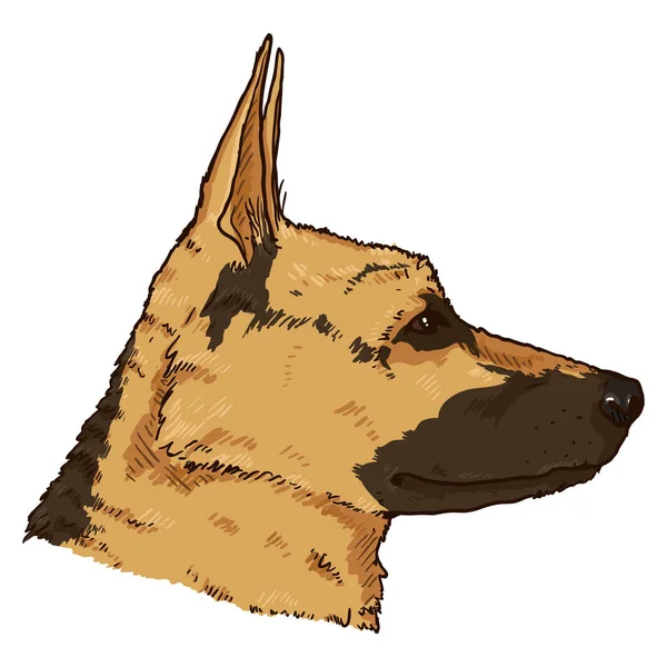Desenhos Animados German Shepherd Dog Face Side View Ilustração Vetorial — Vetor de Stock