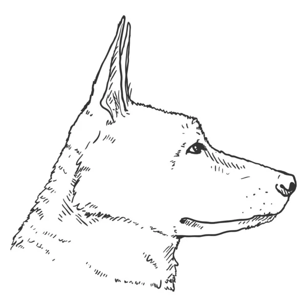 Desenho Alemão Shepherd Dog Face Side View Ilustração Vetorial — Vetor de Stock