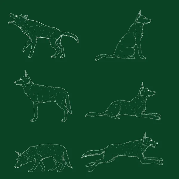 Vector Set Van Krijt Schets Duitse Herder Dog Illustraties — Stockvector