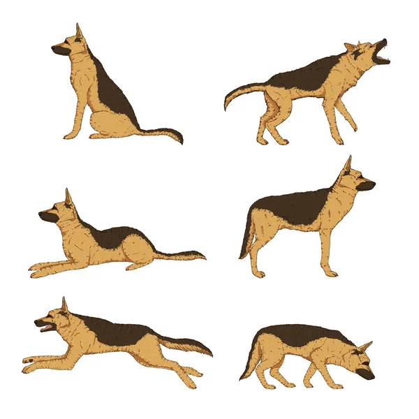 Vector Set Cartoon German Shepherd Dog Illustrations — Stock Vector