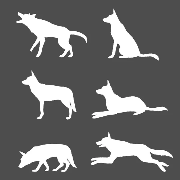 Vektor Set Von Weißen Silhouetten Deutscher Schäferhund Illustrationen — Stockvektor