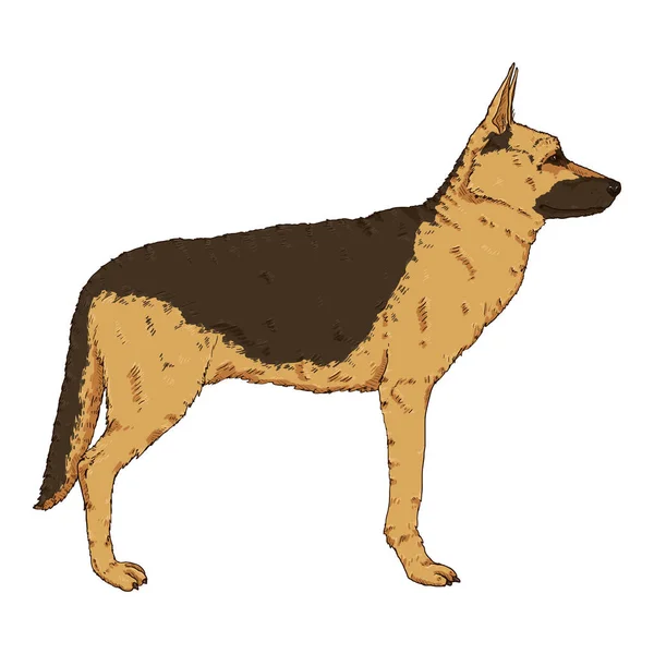 Vector Cartoon Standing German Shepherd Dog Illustration — стоковий вектор