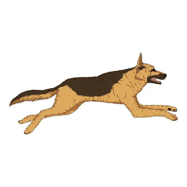 Vektorkartoon Jumping German Shepherd Dog Illustrasjon – stockvektor