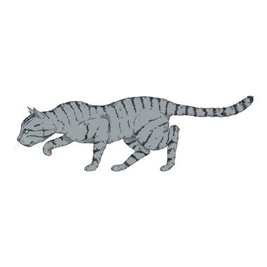 Gri Çizgili Kedi.