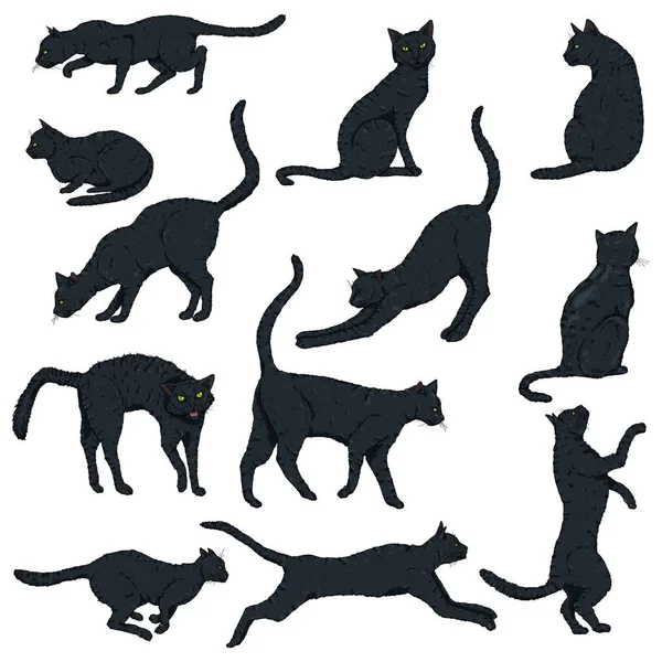 Vector Set of Cartoon Black Cats. — Stock Vector