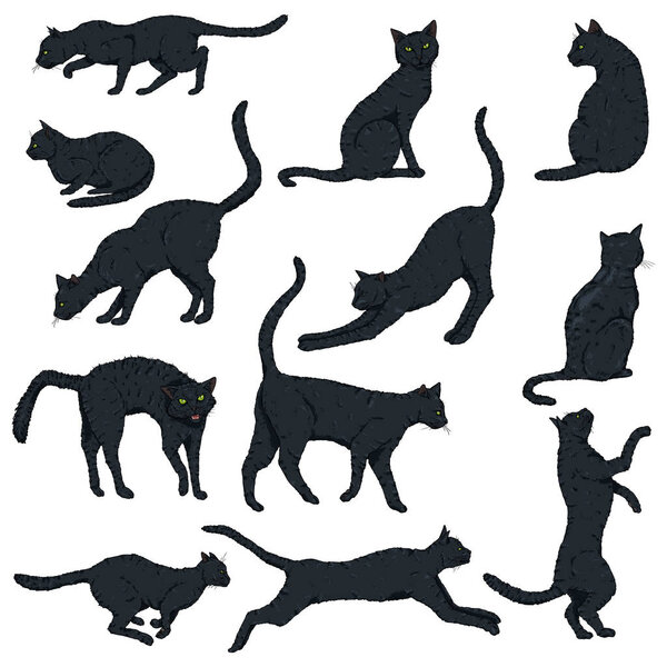 Vector Set of Cartoon Black Cats.