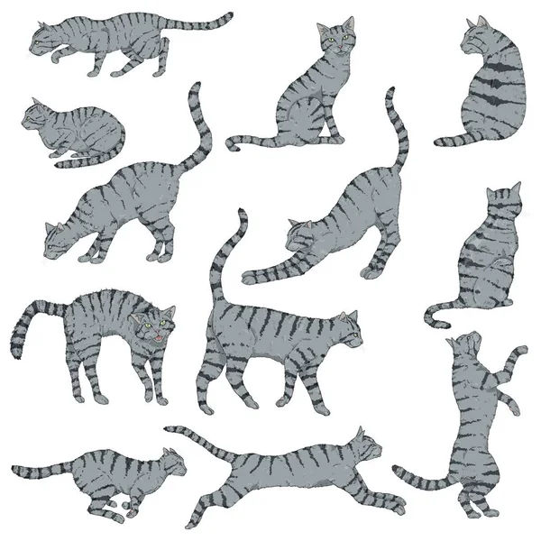 Векторный набор карикатурных полосатых котов . — стоковый вектор