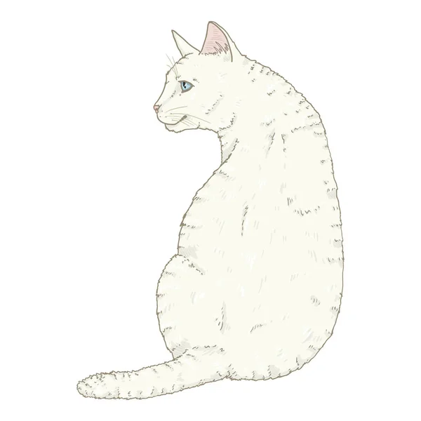 Chat blanc assis. Illustration vectorielle de bande dessinée — Image vectorielle