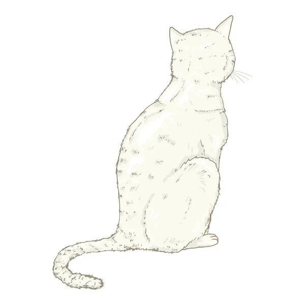 Gato Branco Sentado. Ilustração de desenhos animados único vetor . —  Vetores de Stock