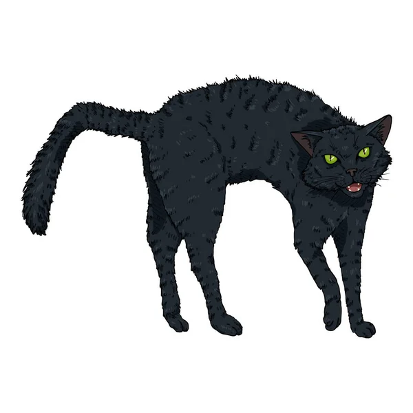 Wütende schwarze Katze — Stockvektor