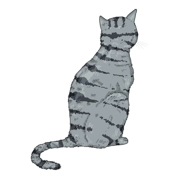 Sentado gris rayas gato . — Vector de stock