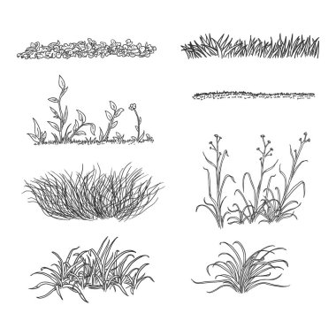 Sketch Grass Siluetlerinin Vektör Kümesi