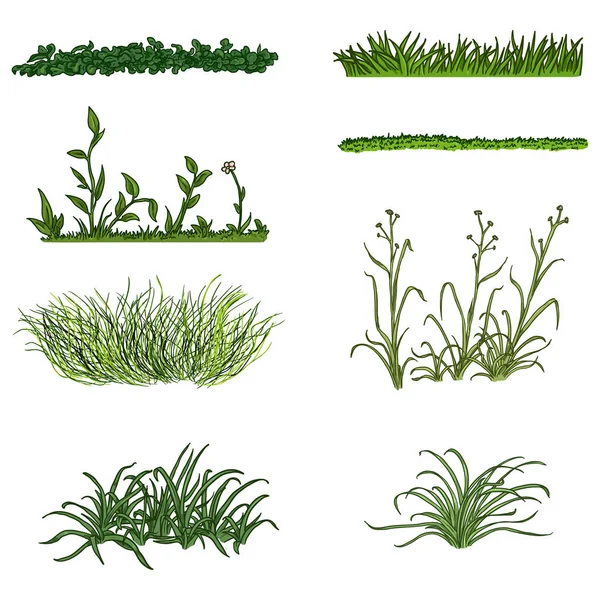 Vector set van cartoon groen gras silhouetten op witte achtergrond. — Stockvector