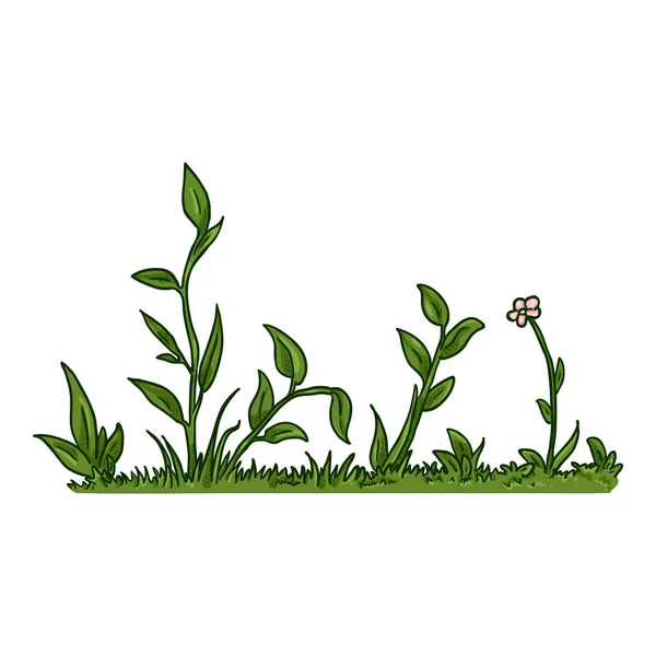 Vector Cartoon Wild Growth Green Grass — Stock Vector