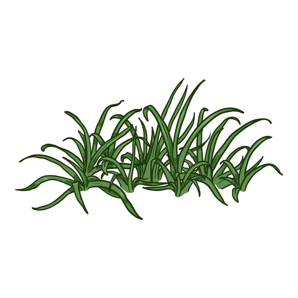 Vector de dibujos animados Wild Growth Green Grass — Archivo Imágenes Vectoriales