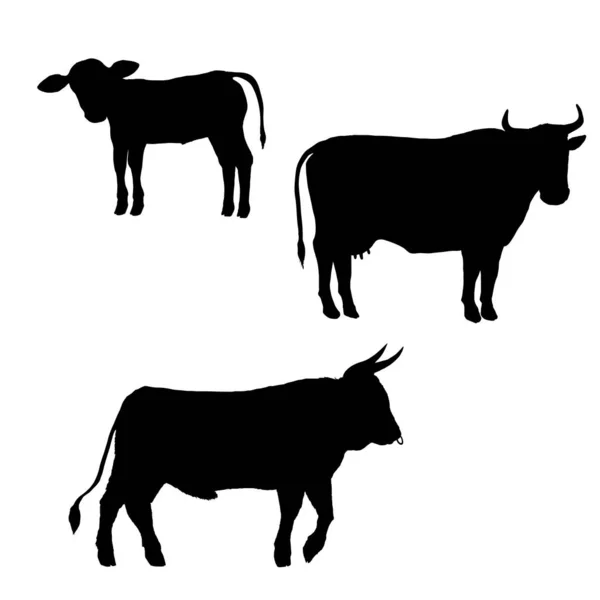 Vector Set Cattle Silhouettes Farm Animals Illustration Calf Cow Bull — Stock Vector