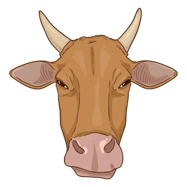 Cabeça Vaca Dos Desenhos Animados Ilustração Gado Vetorial Vista Frontal — Vetor de Stock