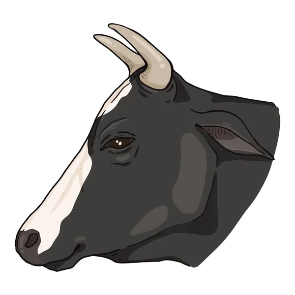 Cabeza Vaca Dibujos Animados Vector Ganado Ilustración Vista Lateral — Vector de stock