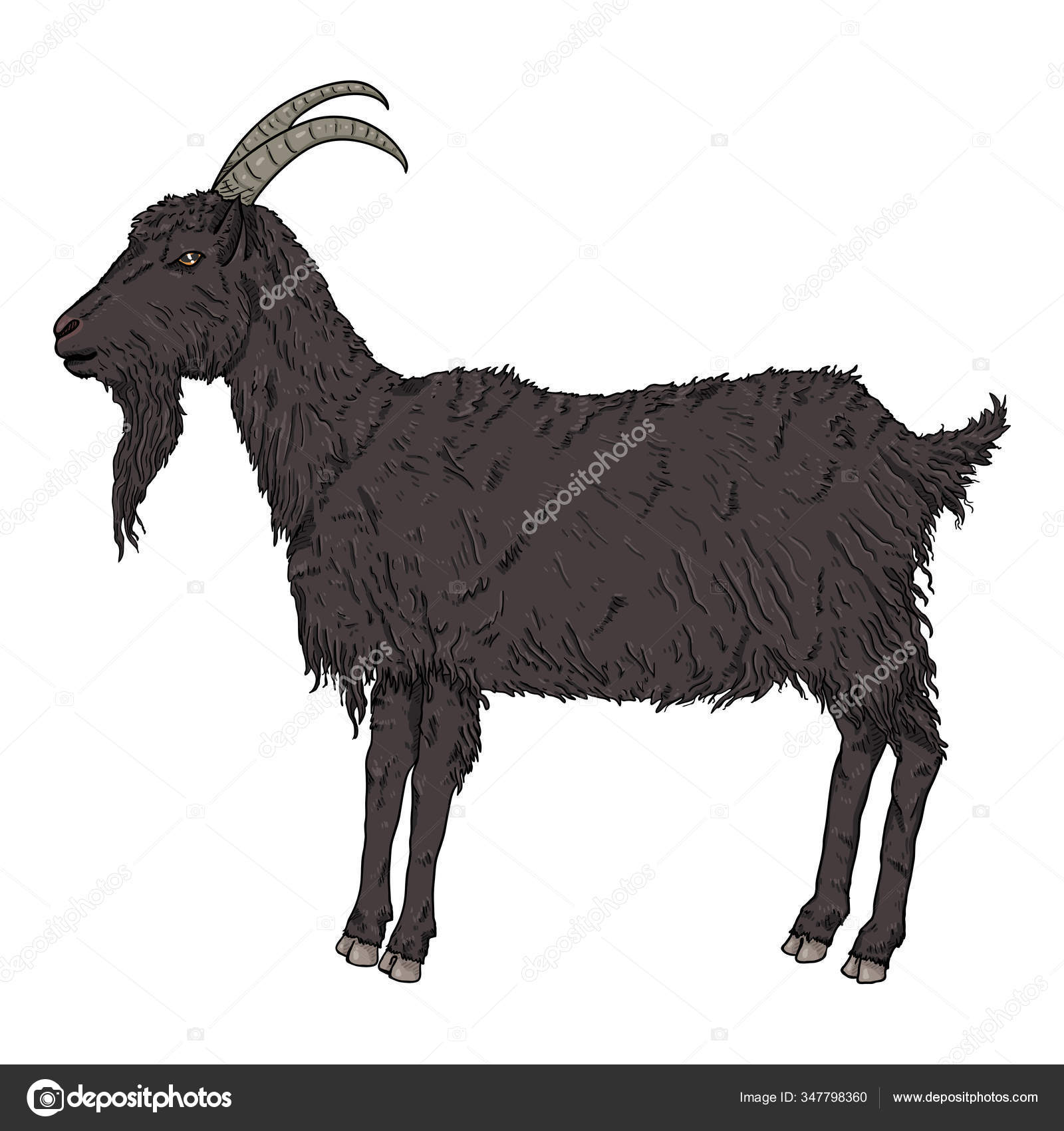 Vector Cartoon Black Goat Side View Goat Illustration Stock Vector Image by  ©nikiteev #347798360