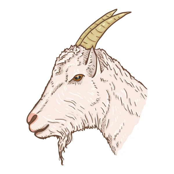 Vector Cartoon White Goat Head Zijaanzicht — Stockvector