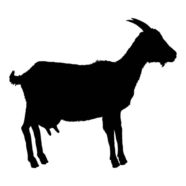 Vector Black Silhouette Goat Vista Laterale She Goat Illustrazione — Vettoriale Stock