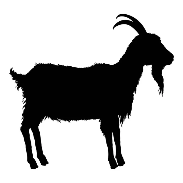 Vector Silhouette Goat Side View Goat Illustration — Stock Vector