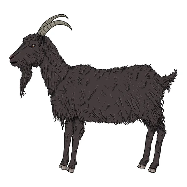 Vector Dibujos Animados Cabra Negra Vista Lateral Cabra Ilustración — Vector de stock